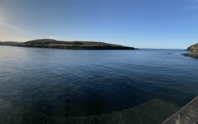 Big-time Swimming In Store During Cork Distance Week